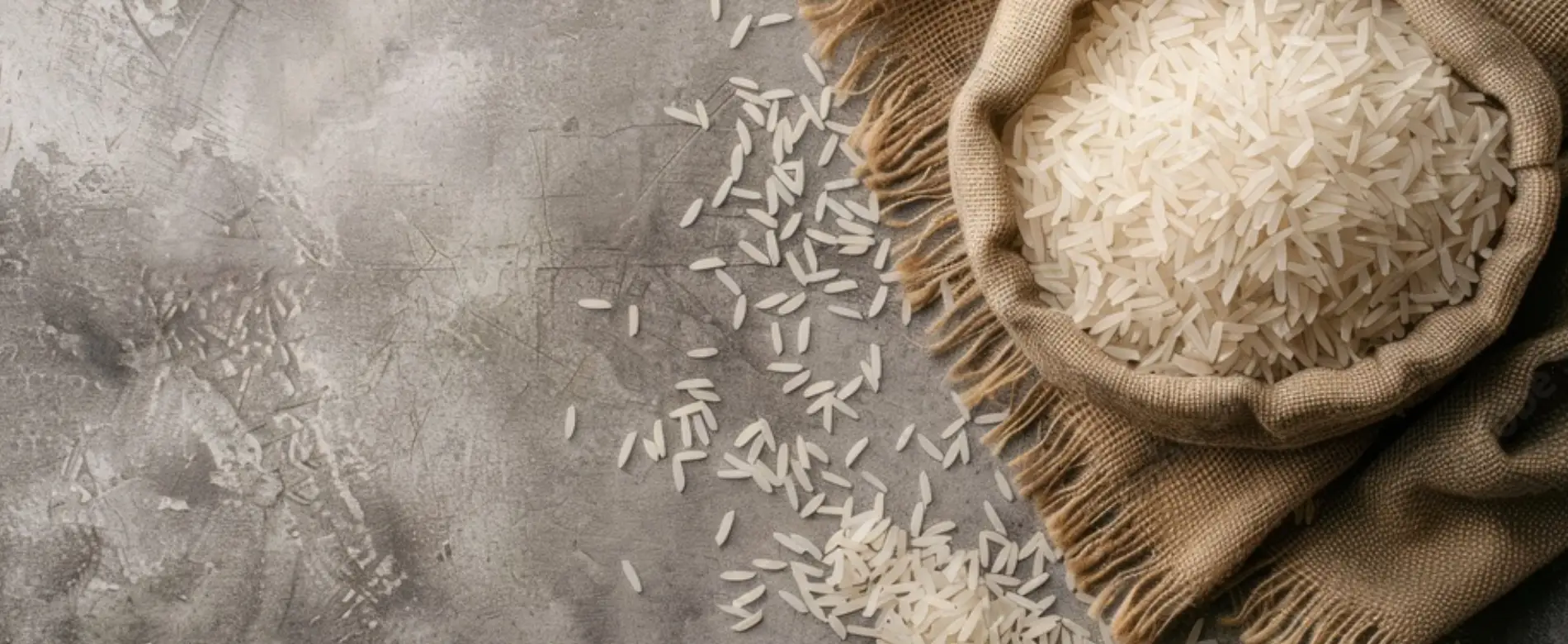 Sampada Global Exports