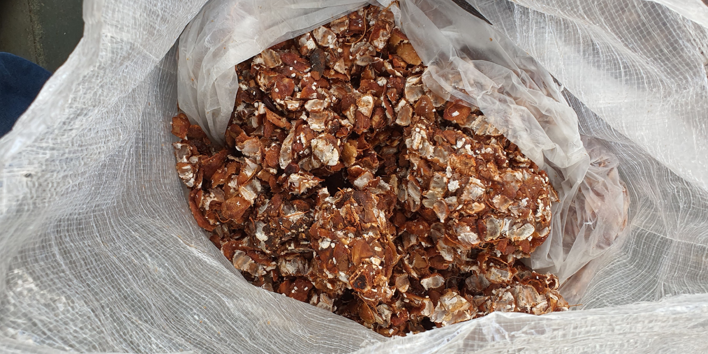 Sampada Global Exports