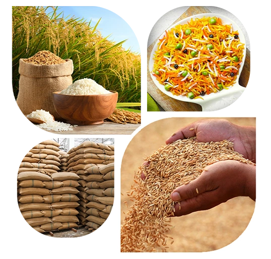 Sampada%20Global%20Exports