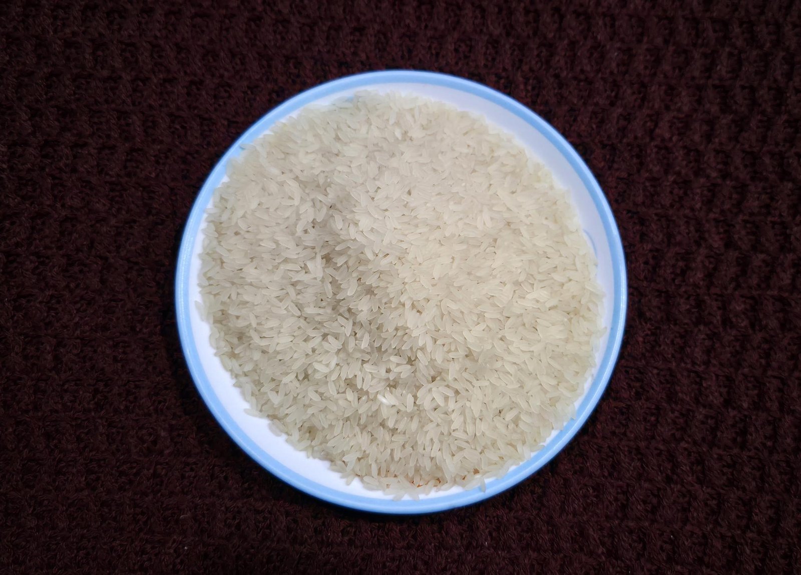 Sampada Global Exports